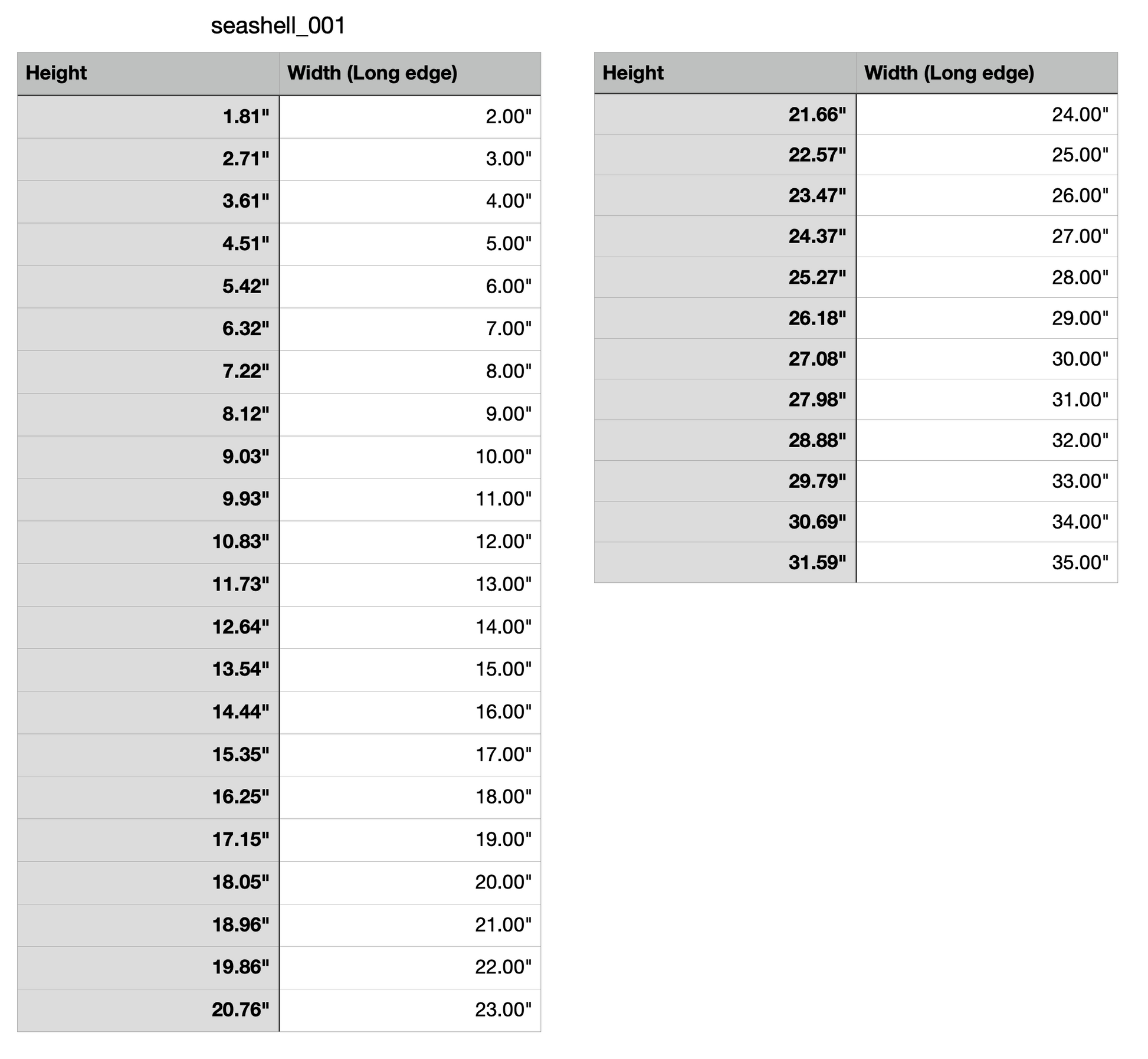 seashell measurements