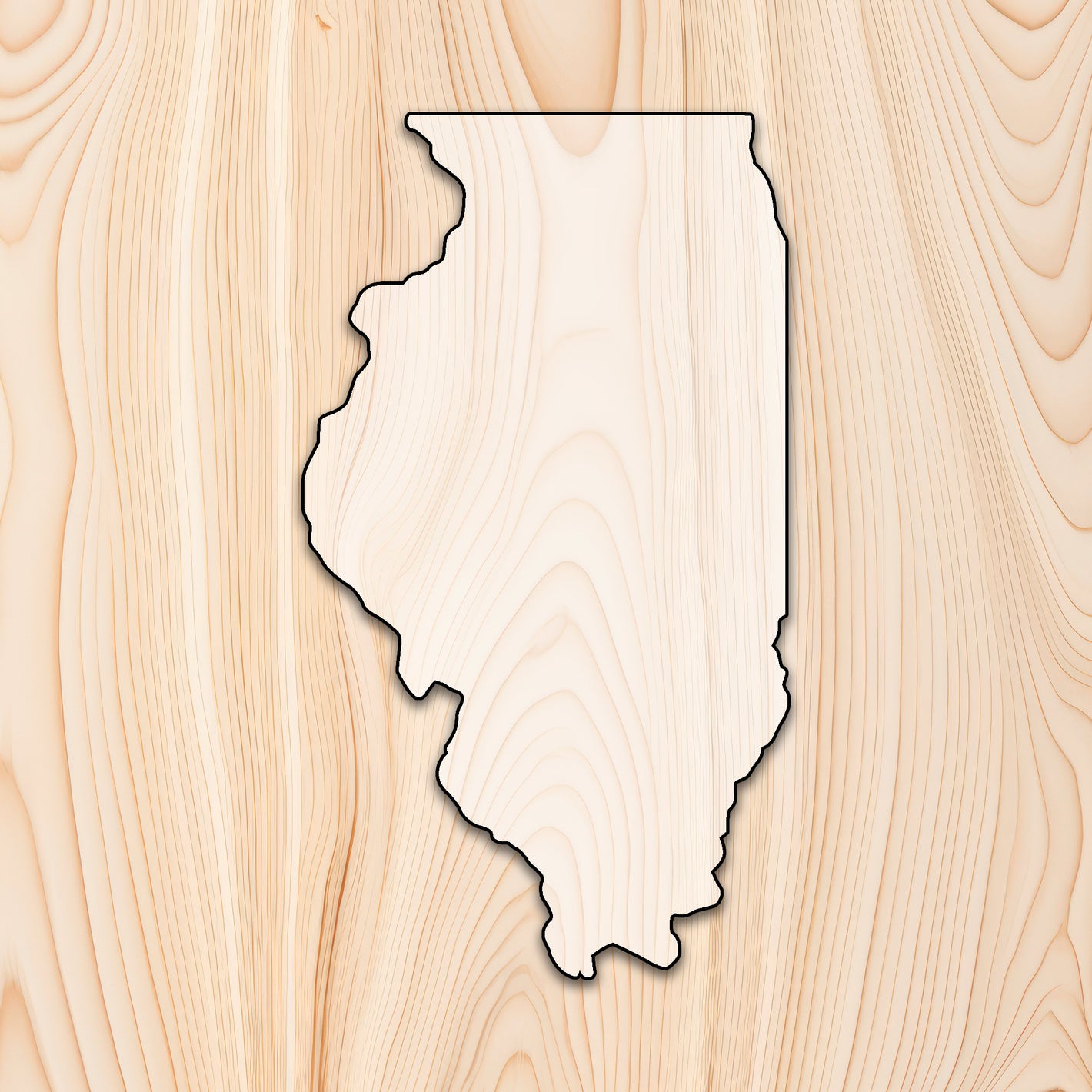 Illinois State Acrylic Craft Cutout