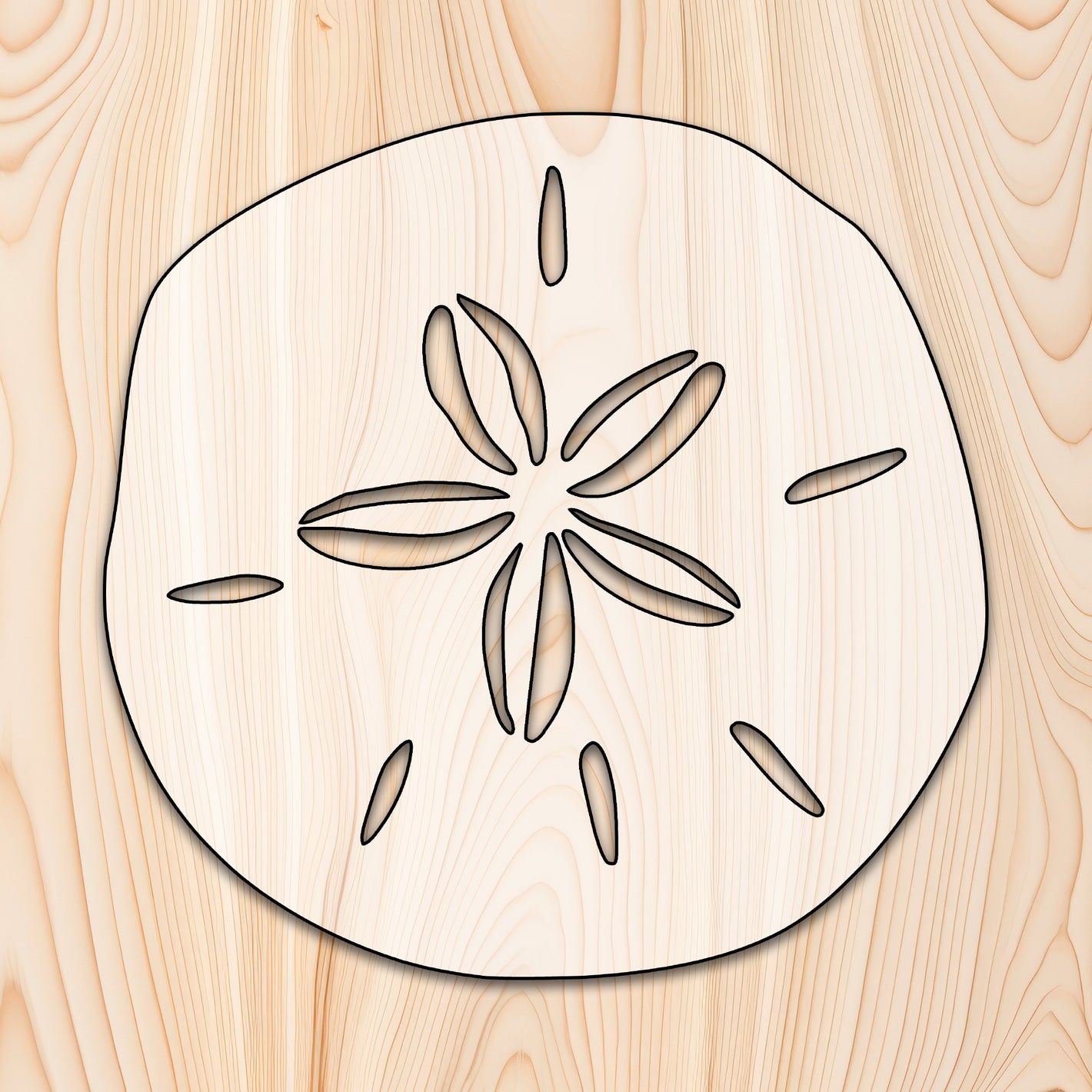 Sand Dollar Beach Acrylic Craft Cutout
