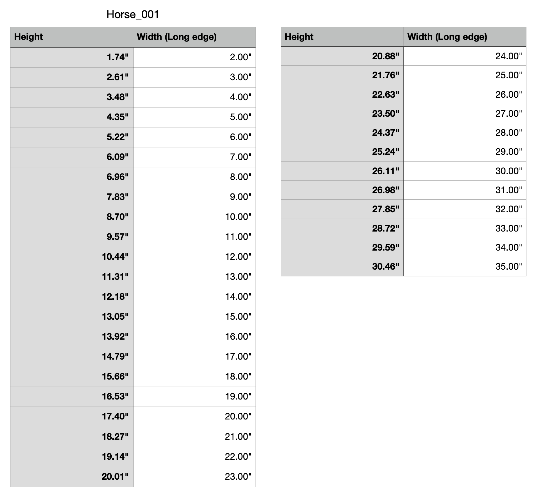 horse stallion measurements