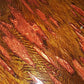 "COPPER PENNY"