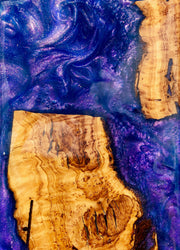 "MOONLIGHT ODYSSEY"