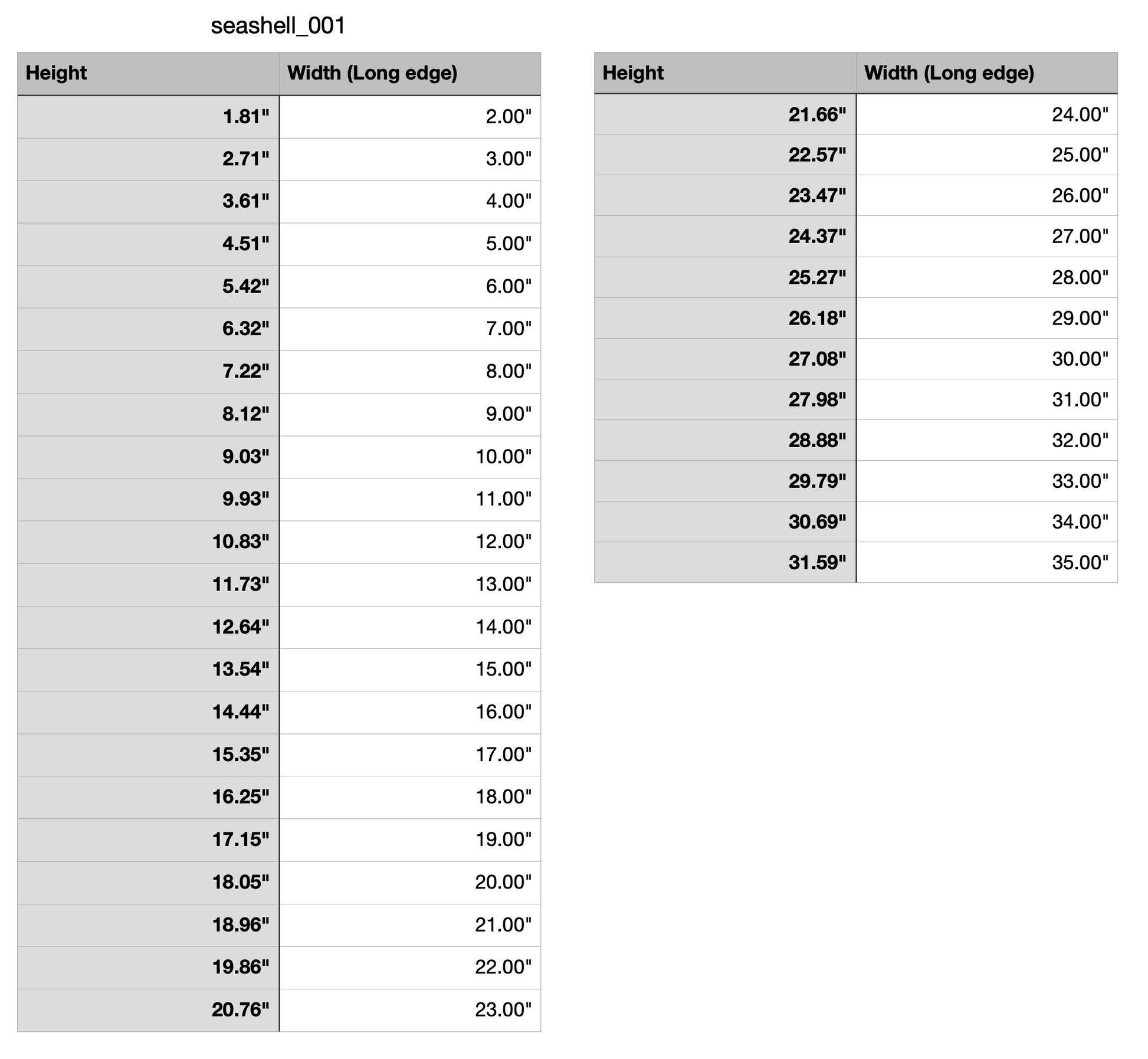 seashell beach measurements