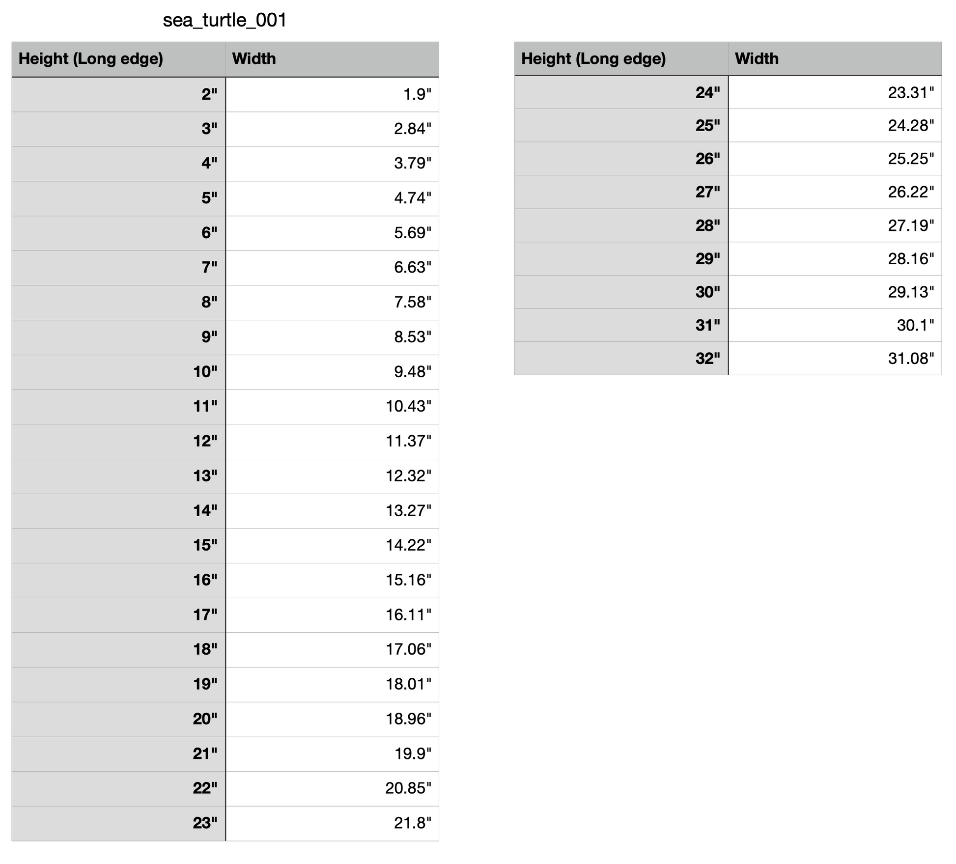 sea turtle animal beach measurements