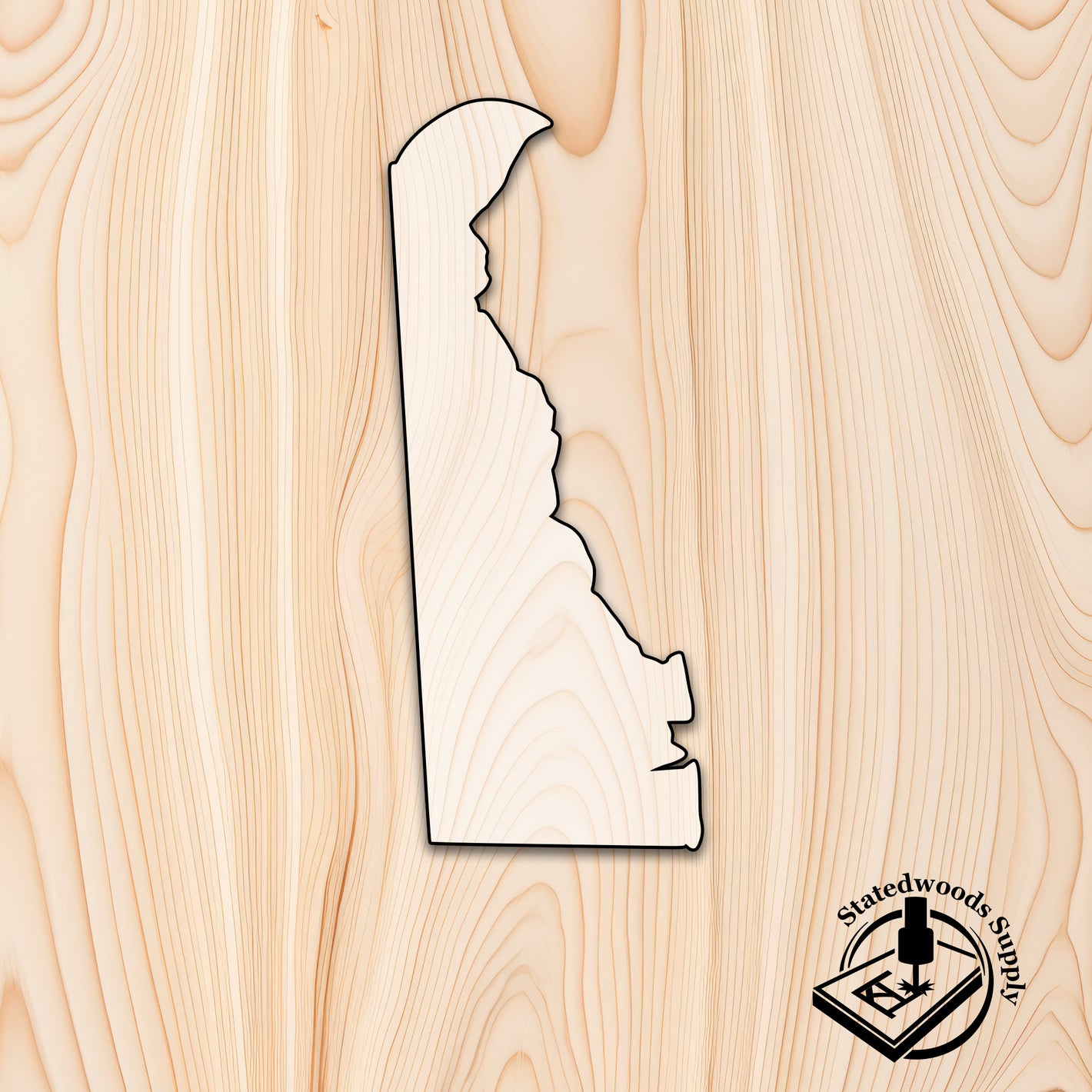 delaware state acrylic craft cutout