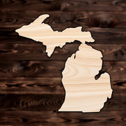 Michigan State Plywood Craft Shape