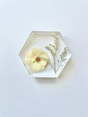 Hexagon Coaster Mold